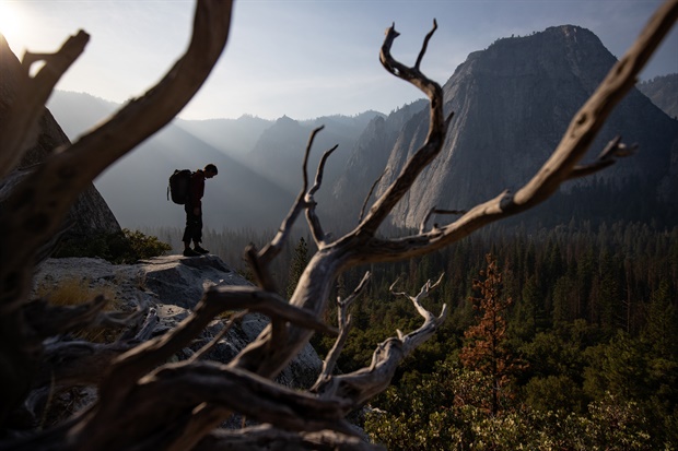 Free Solo still 1