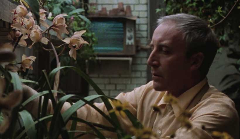 being there opening.jpg