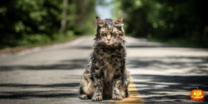 Pet Sematary