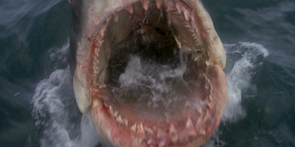 Jaws