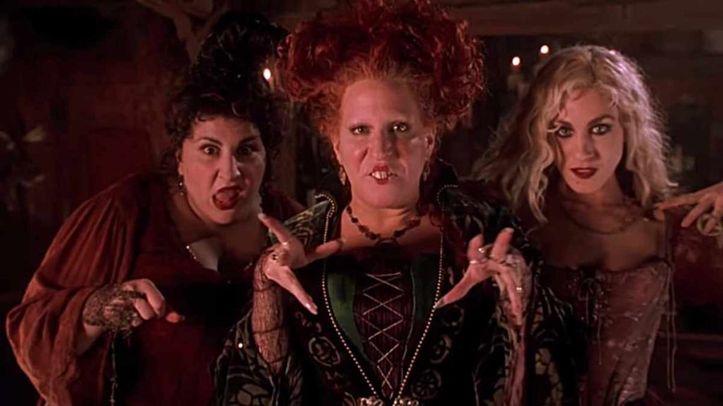 Hocus Pocus witch