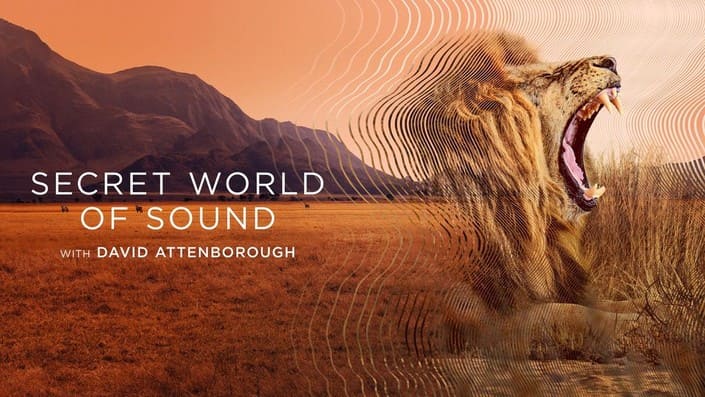 BAFTAS: Secret World of Sound with David Attenborough. Image courtesy of Netflix - Filmotomy