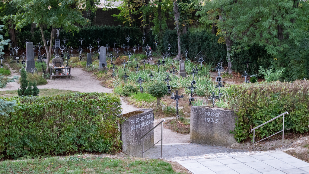 Before Sunrise 30 Years On | photo by Rebecca Sharp