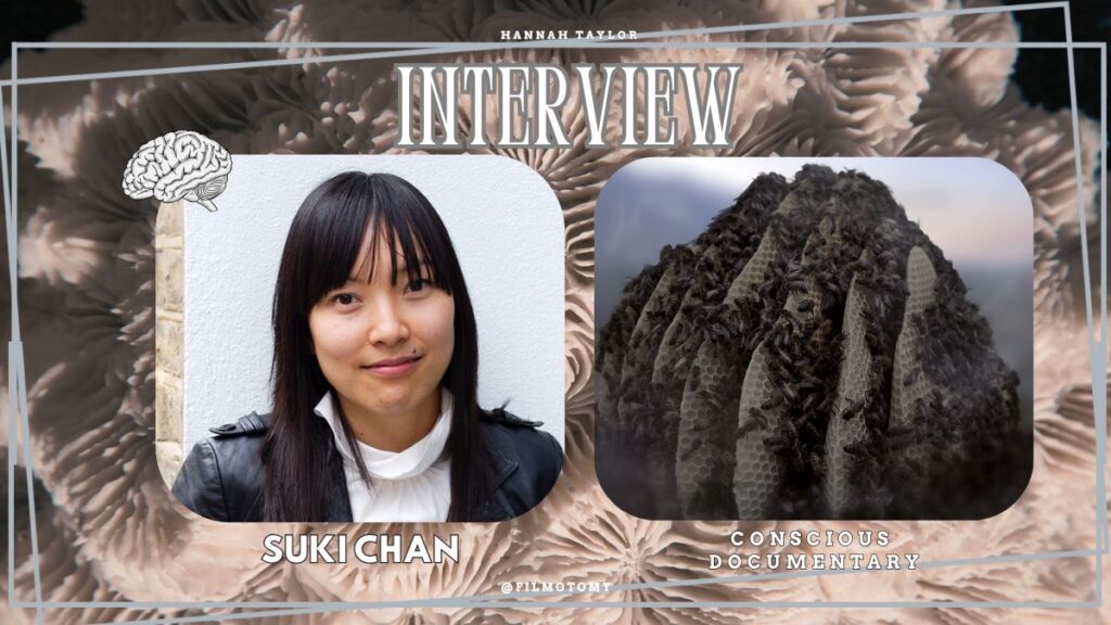 Suki Chan Interview - Filmotomy